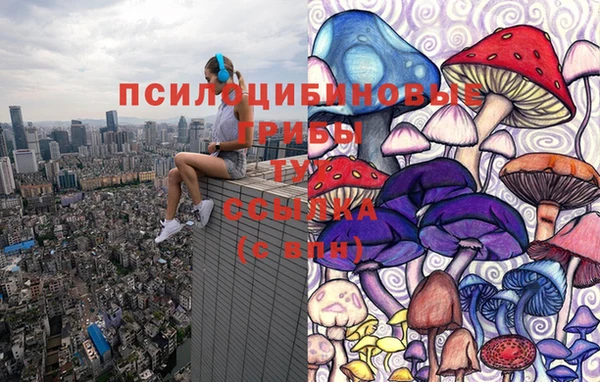 Альфа ПВП Ростов