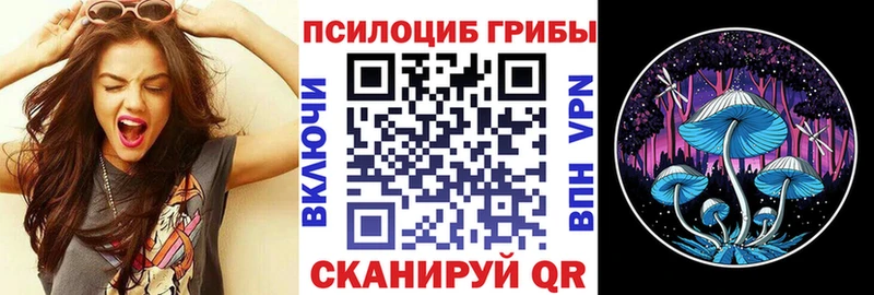 сколько стоит  Красноармейск  Галлюциногенные грибы мухоморы 