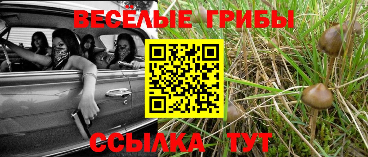 Галлюциногенные грибы MAGIC MUSHROOMS  Галлюциногенные грибы мухоморы  Красноармейск  Вход с VPN 